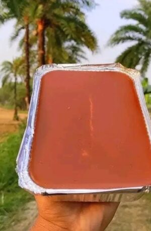 খেজুরের পাটালি গুড় | Date Palm Jaggery